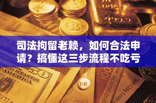 武汉司法拘留老赖，如何合法申请？搞懂这三步流程不吃亏！