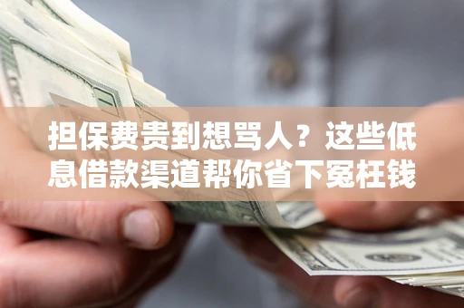 武汉担保费贵到想骂人？这些低息借款渠道帮你省下冤枉钱