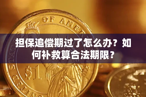武汉担保追偿期过了怎么办？如何补救算合法期限？