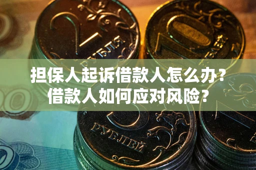 武汉担保人起诉借款人怎么办？借款人如何应对风险？